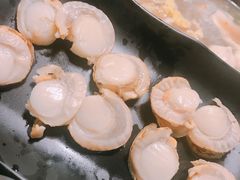 -拾下卜卜贝•海鲜火锅