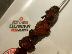 -鼎原力量东北吊炉烧烤(幸福街店)