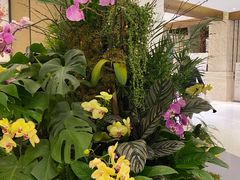 -太湖饭店玉兰厅(自助餐厅)