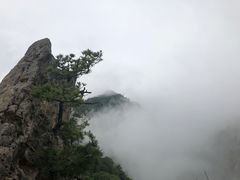 -王顺山国家森林公园