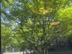 -青麦家·融合餐厅(江岛智立方店)