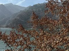 -秦岭终南山世界地质公园翠华山景区