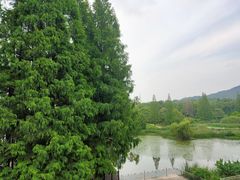 -紫霞湖公园