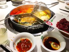窝蛋嫩肉-潮牛壹号鲜牛肉火锅(世界城广场店)