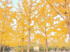 -永定河休闲森林公园