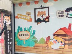 -柴犬高等学院·狗咖·柴犬售卖·宠物训练