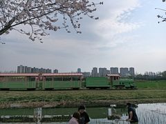 -长田漾湿地公园
