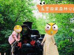 -五营国家森林公园