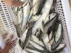 -珠海金沙滩