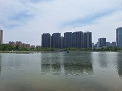-金沙湖公园