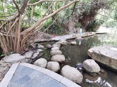 -燕晗山郊野公园