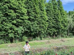 -桤木河湿地公园