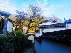 -塔川景区