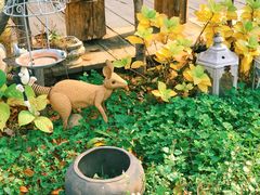 -荒度咖啡(北九水店)