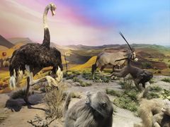 -国家自然博物馆