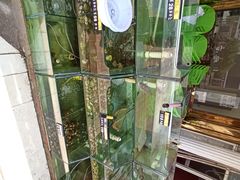 -四海鲜渔家菜(黄金海岸店)