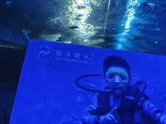 -太平洋海底世界