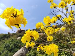 -东澳岛