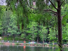 -深圳龙潭公园