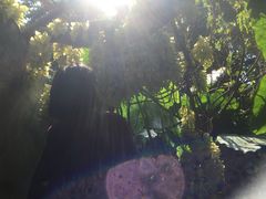 -清溪大王山森林公园