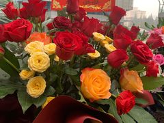 -零·壹新疆羊肉抓饭