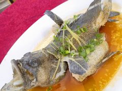 清蒸老虎斑-隆都四季香饭店(碧海路店)