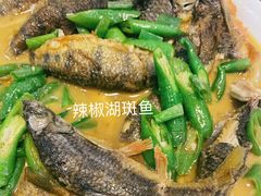-全乐鱼馆·淳牌有机鱼直营店