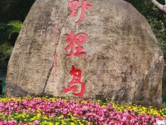 -野狸岛