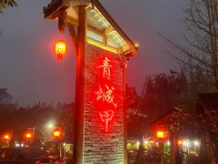 -青城甲(青城山店)