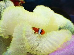 -沈阳海洋探索中心