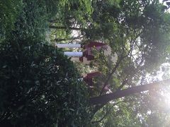 iphone_upload_pic-观象山公园