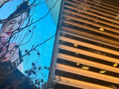 -桂满陇·海市蜃楼·黑金(国金店)