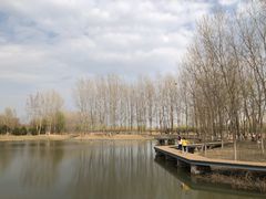 -东郊湿地公园