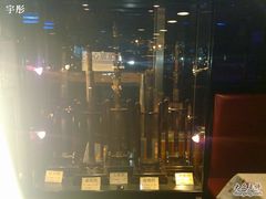 -枫花园汽车电影院(朝阳公园店)