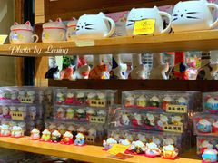 -猫咪博物馆(顶澳仔猫街店)