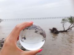 -宝安西湾红树林湿地公园