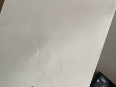 -BLACKSWAN黑天鹅(环球店)