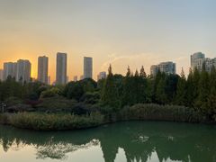 -青枫公园