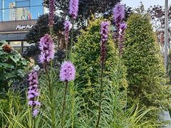 -常州九洲环宇大酒店(常州火车站店)