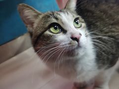 -鑫鸿达·海鲜闽菜热炒小馆(中山路店)