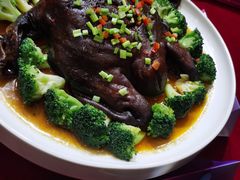 -自助火锅筷乐食代自助餐厅(金辰店)