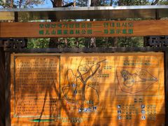 -帽儿山国家森林公园