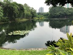 -晓港公园