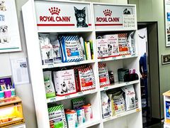 -东莞宠友24H宠物中心医院·转诊夜诊·异宠(新河北路院)