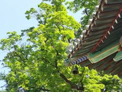 -潭柘寺景区
