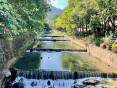 -广州白江湖森林公园