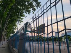 -山东大学(洪家楼校区)