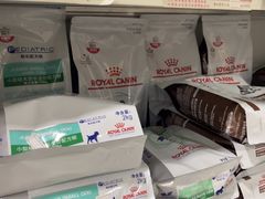-中农国际动物医院24小时·猫科·骨科·急重症中心