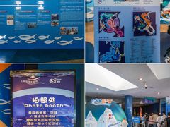 -上海海洋水族馆