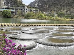 -明仕田园